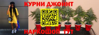 apvp Пенза