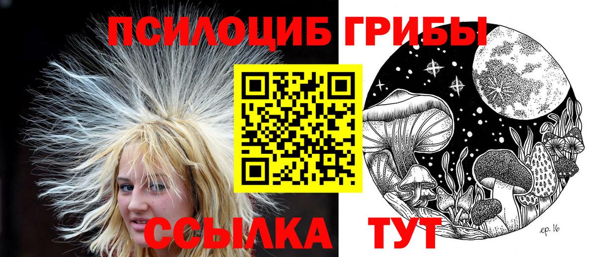Псилоцибиновые грибы Cubensis  Галлюциногенные грибы MAGIC MUSHROOMS  Троицк  Вход с VPN 